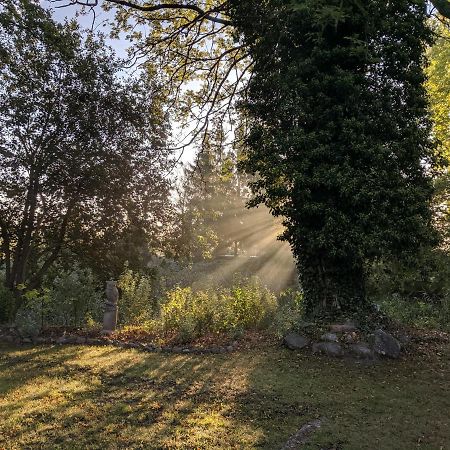 Schlossgut Gorow Satow 외부 사진